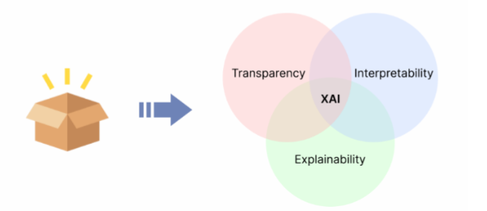 The black-box explained by the major XAI concepts: transparency, interpretability and explainability