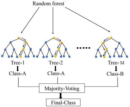Random forest classifier model