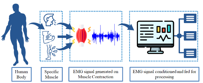 Stage of sEMG signal processing